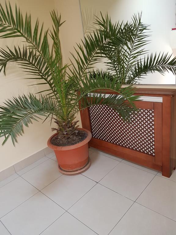 Hotel Iris Arad Dış mekan fotoğraf